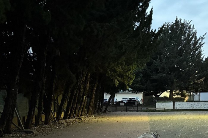 ハスキー犬たちとドッグランへ