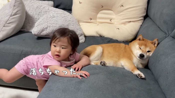 と思ったら落下…