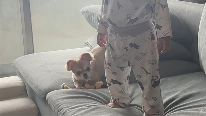 男の子はテレビに夢中でスルー