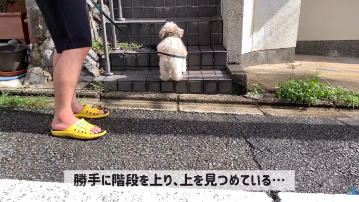 お友達を待ち伏せ中