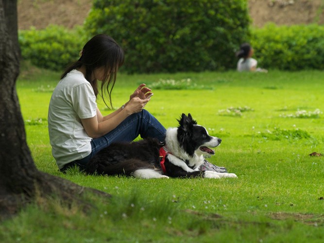 いつ迄、座って待つのかな？