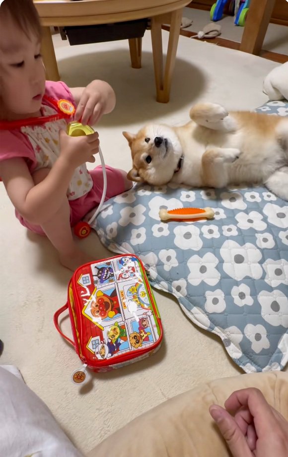 倒れるすずちゃん