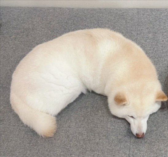 そっくり