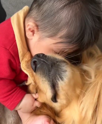 犬の顔に自分の顔を埋める赤ちゃん