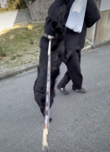 「おかえり！おかえりっ！」