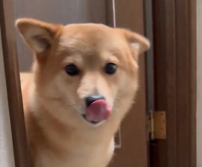 可愛すぎる