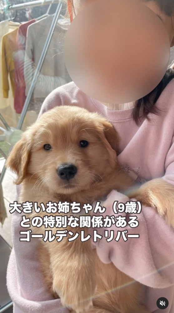 子犬