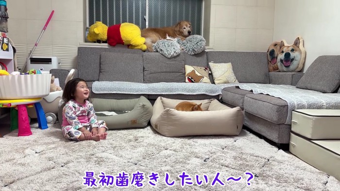 歯みがきしたくない！