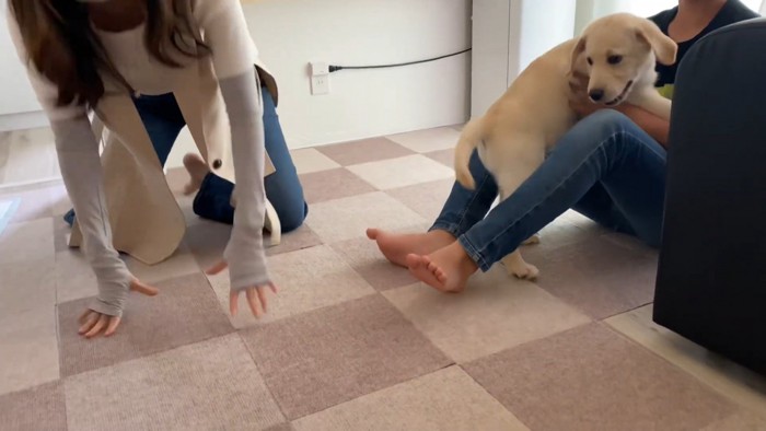 大好きな人との再会を喜ぶ虎丸くん8