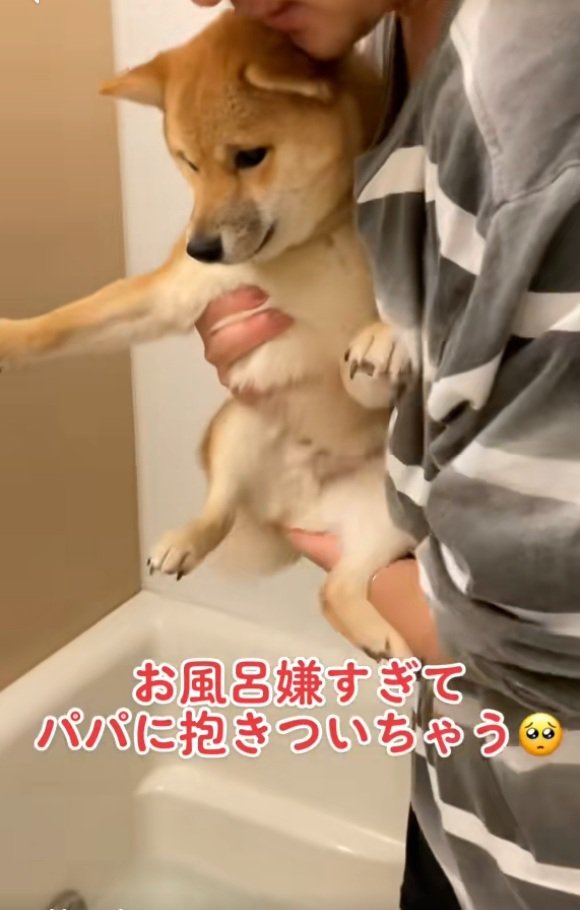 手足を広げるまろ君