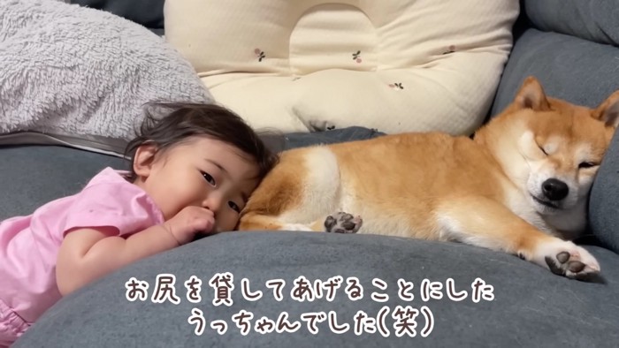 「枕にしていいよ」