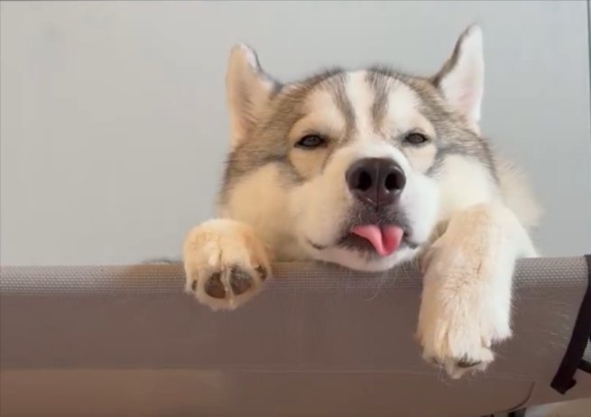 むちゃむちゃ