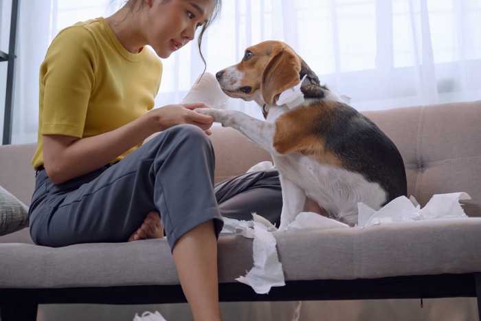 犬と女性