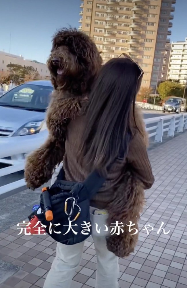 駄々をこねた結果