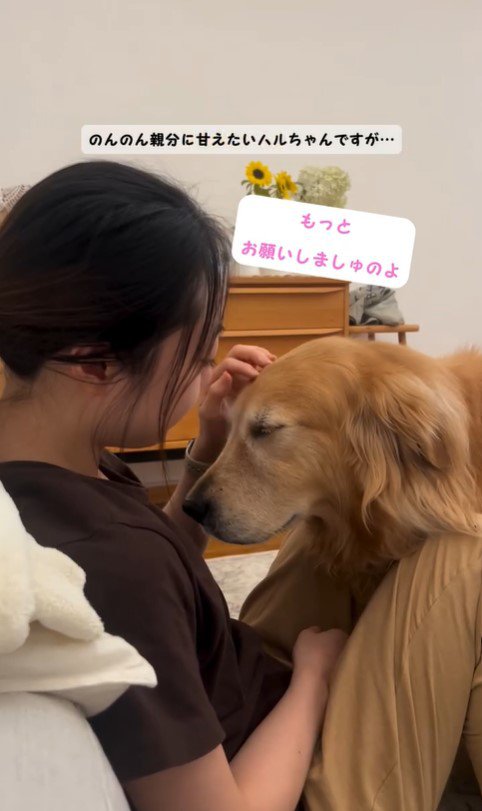 甘えながらご飯を気にするハルちゃん5