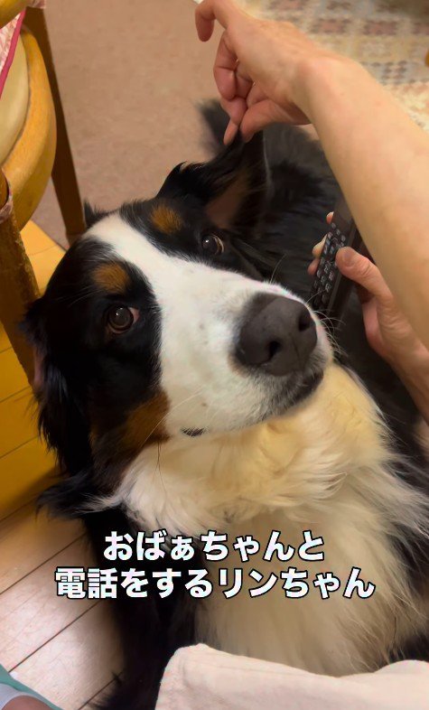 おばあちゃんと電話中