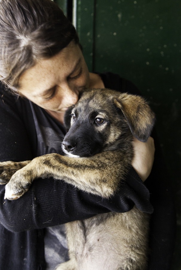 女性に抱かれる犬