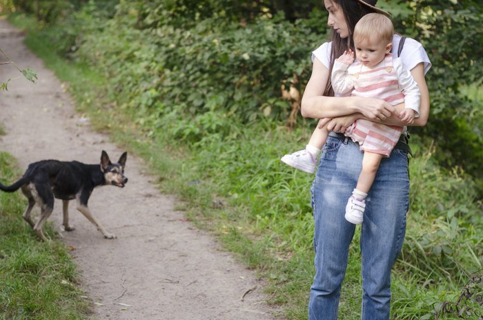 放し飼いの犬を警戒する赤ちゃんを抱いた女性