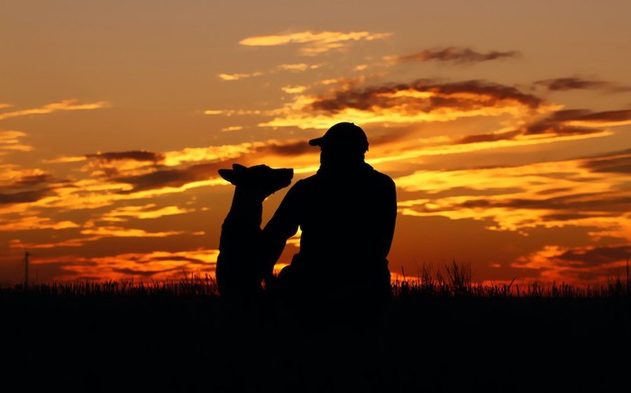 夕日を背景に座っている飼い主と犬