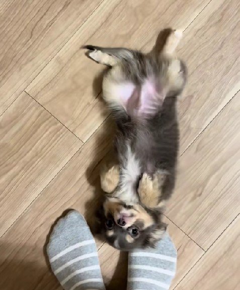 とっても甘えん坊さん！