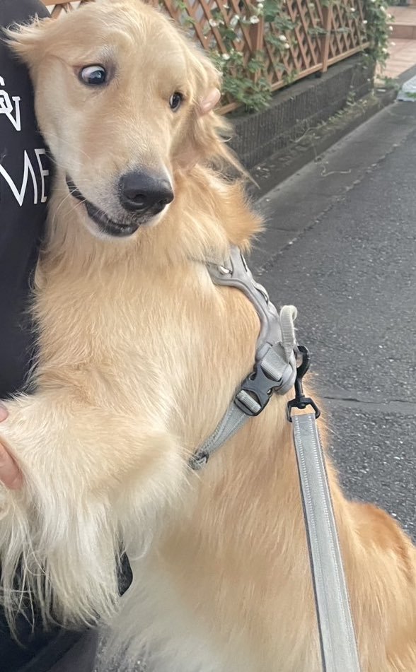 ヒエッ…