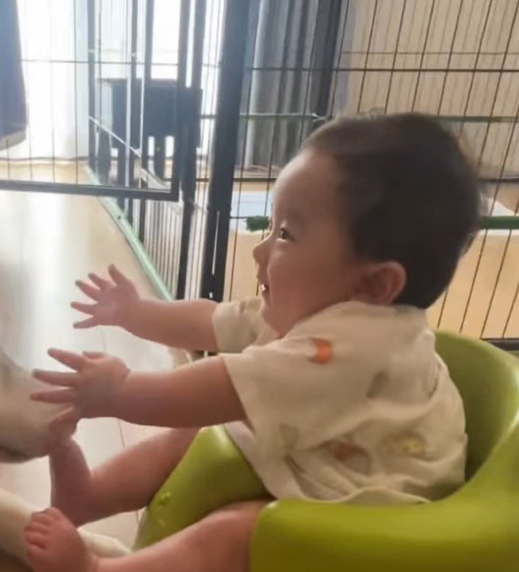 テレビを見ている赤ちゃん