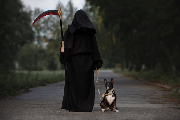 犬と死神