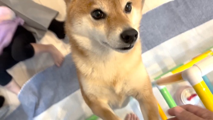 愛情と優しさにほっこり♡