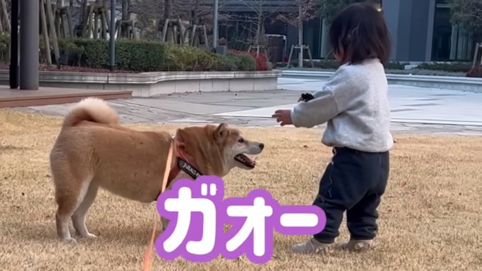 怪獣の真似をするひよりちゃん