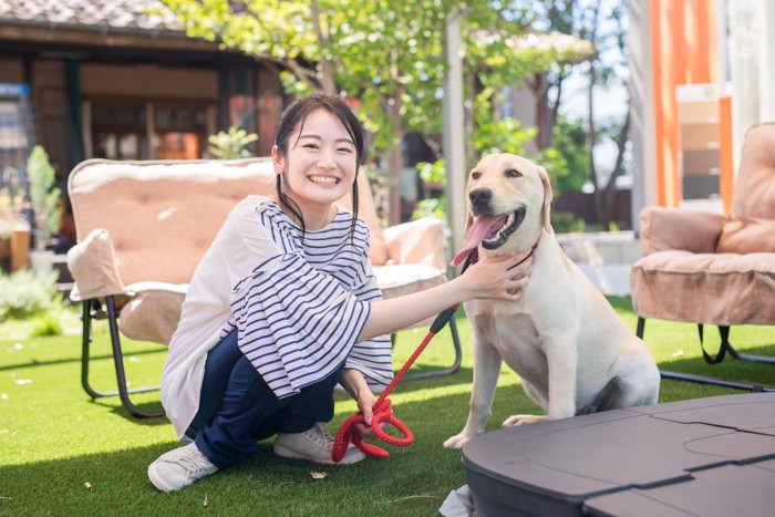 犬と女性