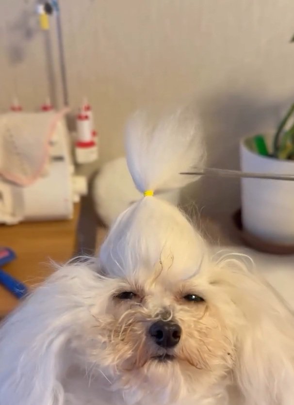 目を細める糸ちゃん