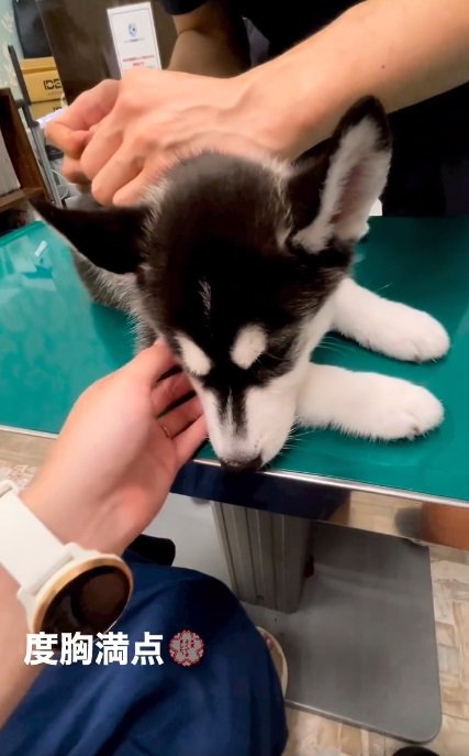 注射をされるレイルちゃん