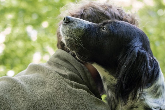 顔をくっつけあった犬と男性