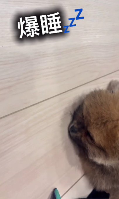 ぐっすり熟睡中でした♡