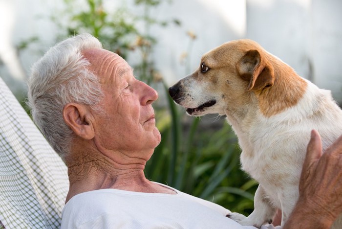 年配の男性と見つめ合う犬