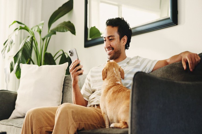 スマホを見る男性と犬