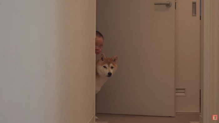 Qちゃんも一緒に♪