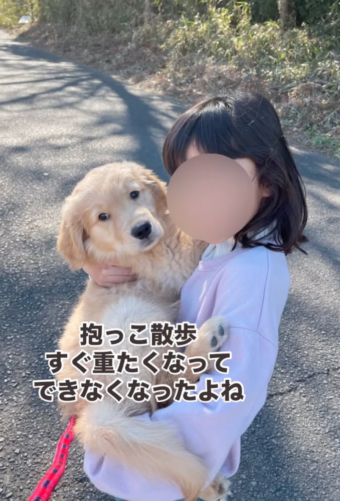 抱っこされる子犬