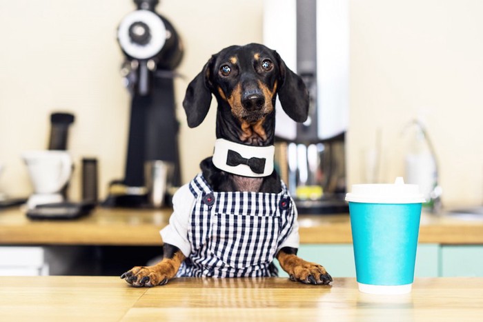 制服を着て接客している犬