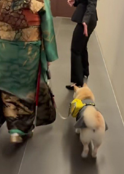 ぶぅちゃん専用の待合室へ