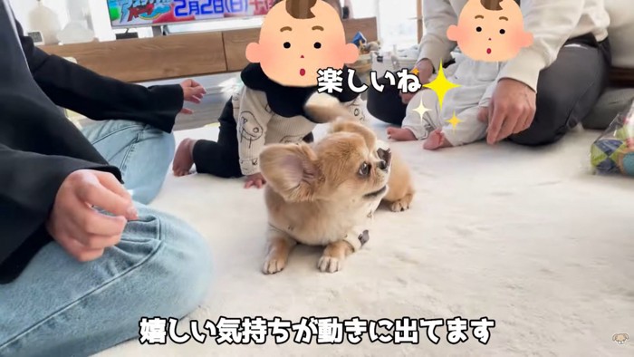 ハナちゃんと赤ちゃんたちの交流7
