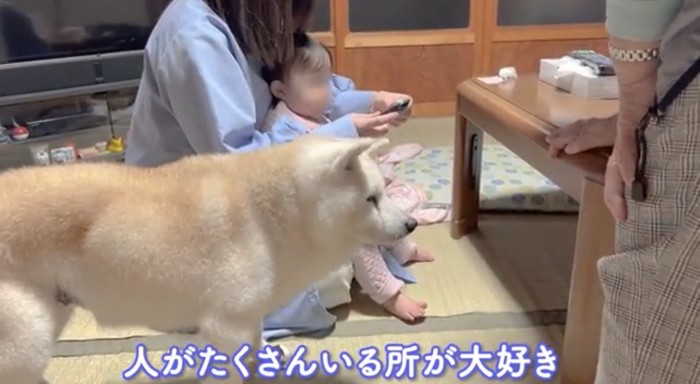 家族のそばに立つ犬