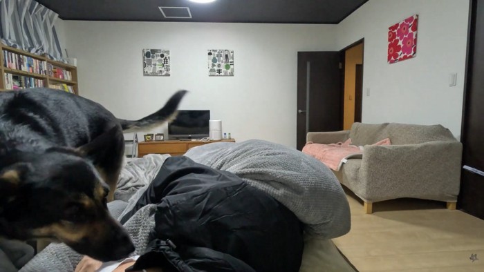 心配してくれていると思いきや…