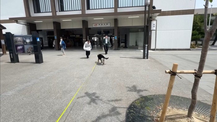 「じぃじとばぁばだ！！」