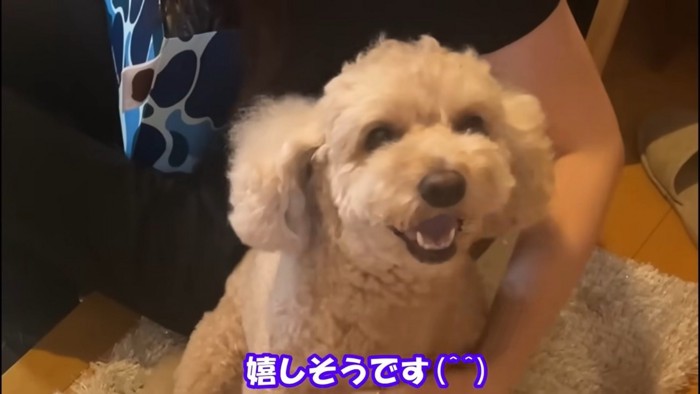 笑顔の犬のアップ