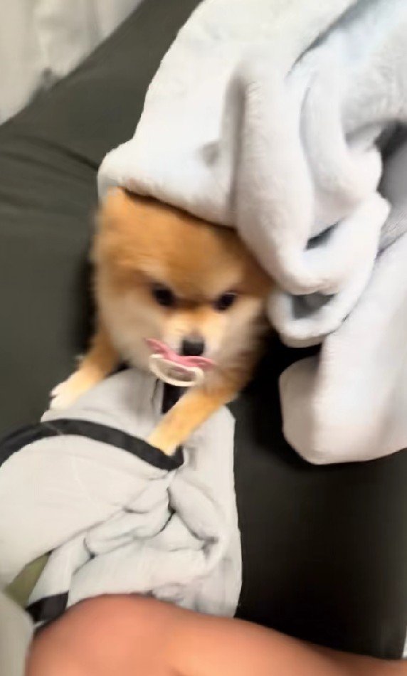 ん？