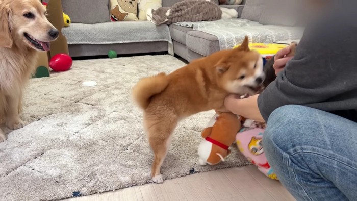 押し倒されちゃった！！