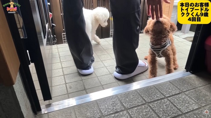 嬉しそうにご挨拶♪