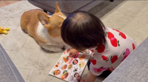 いなり君に読み聞かせをする女の子4