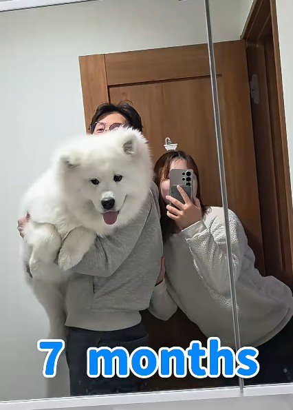 パピーとは思えないほど!